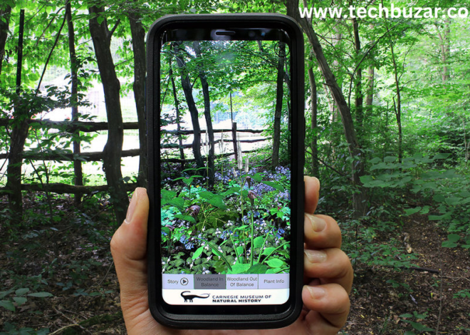 Plant augmented reality :Plant Lovers Rejoice the Guide in 2024