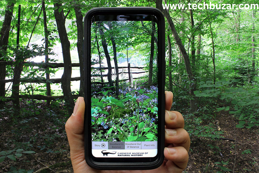 Plant augmented reality :Plant Lovers Rejoice the Guide in 2024