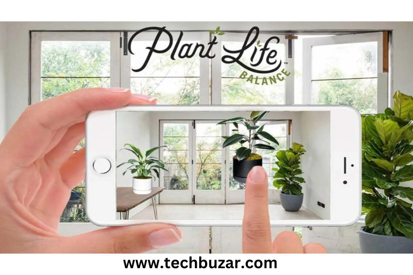 Plant augmented reality