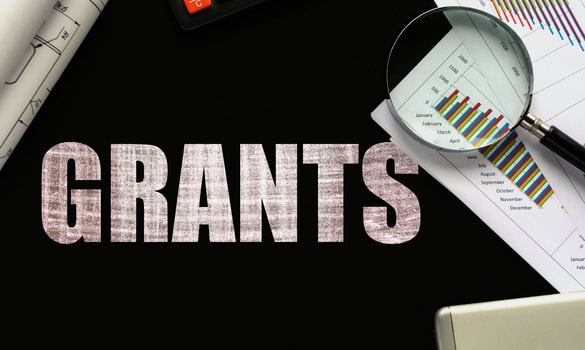 Government Grant Writing and Opportunities