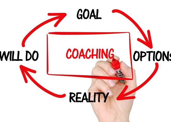 pedrovazpaulo executive coaching : A 100% Comprehensive Overview